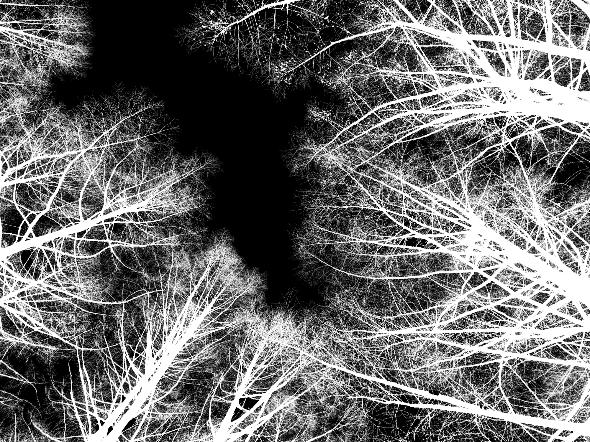 SkyMatte: a High-Quality Dataset for Improving Sky Image Matting — output